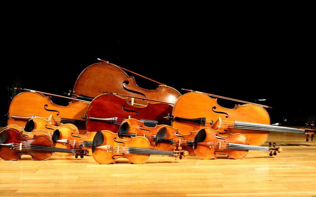 DE LA FORÊT À L’INSTRUMENT